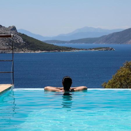 Eucalyptus Villa Aegina Bagian luar foto