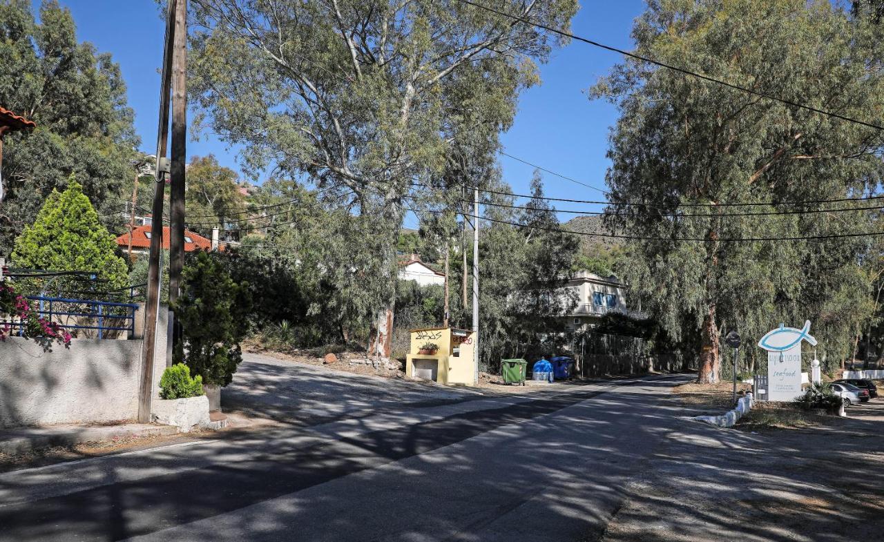 Eucalyptus Villa Aegina Bagian luar foto