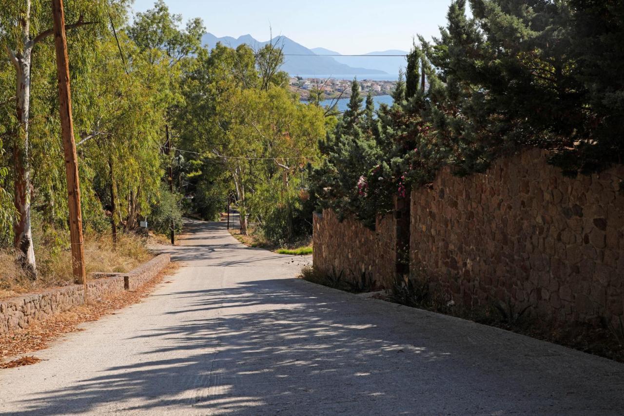Eucalyptus Villa Aegina Bagian luar foto